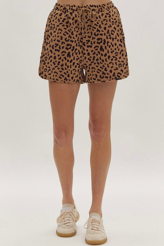 Leopard Print Shorts