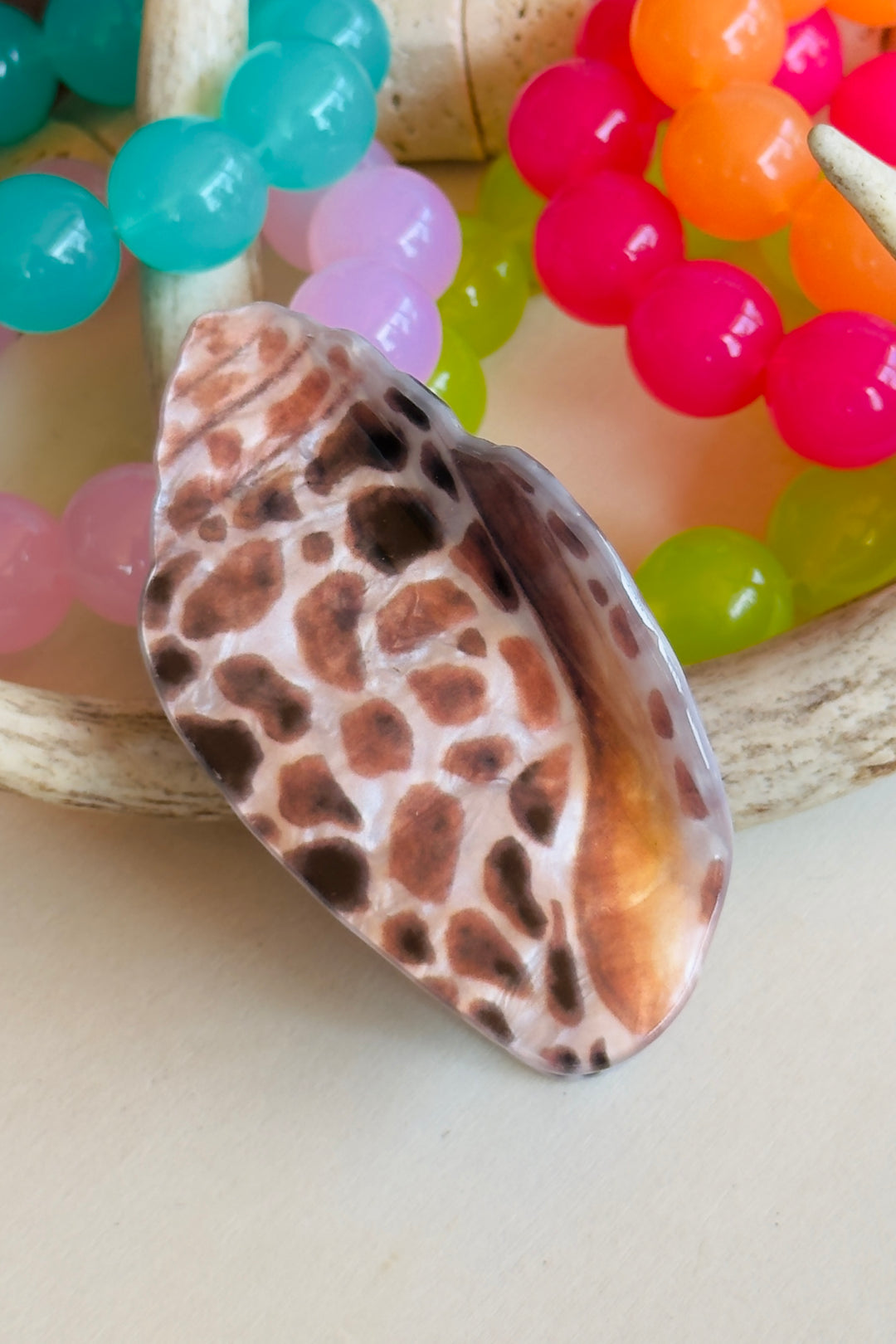 The Coastal Shell Claw Clip